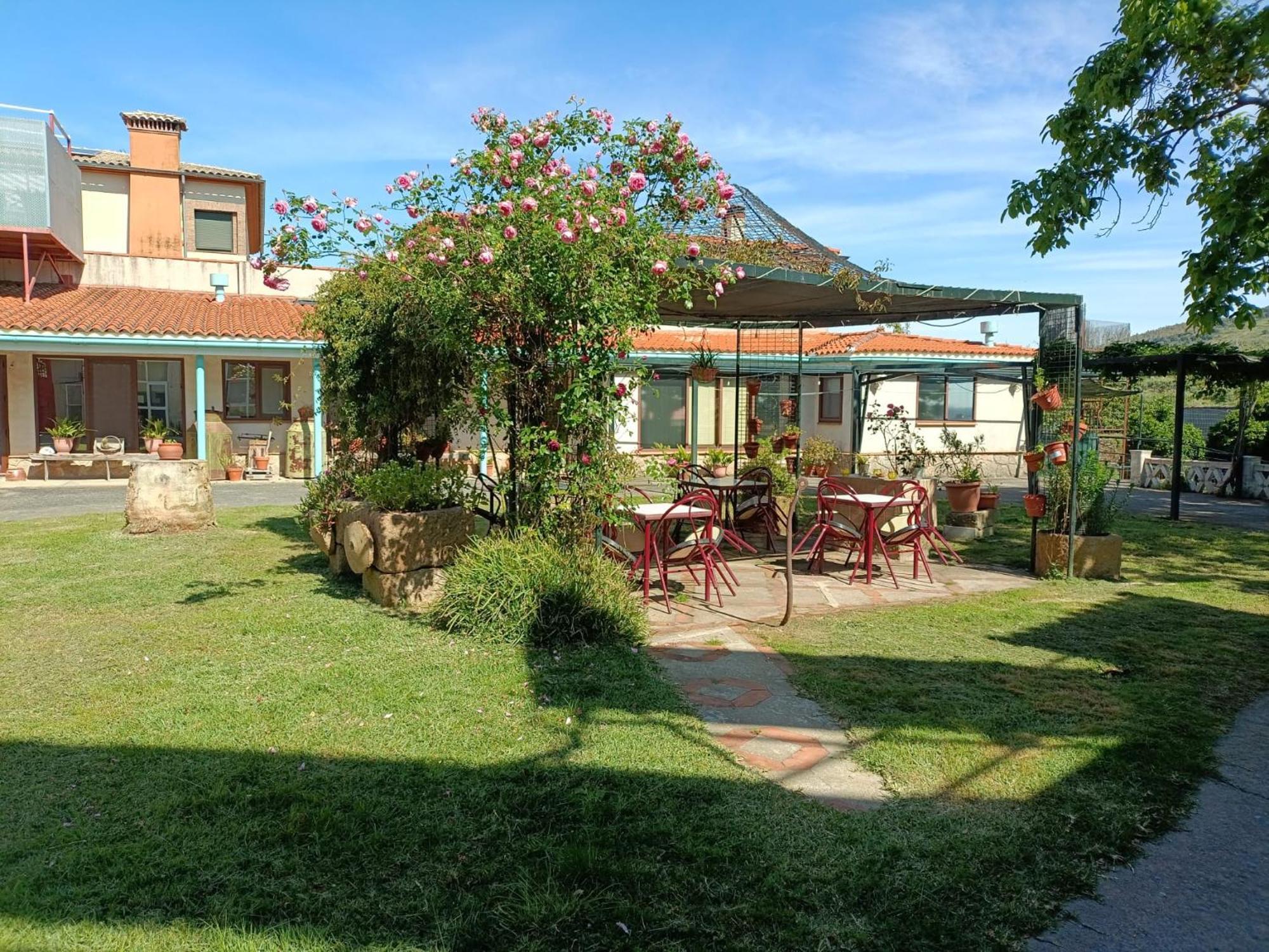 Casa Rural Del Corral マルパルティダ・デ・プラセンシア エクステリア 写真
