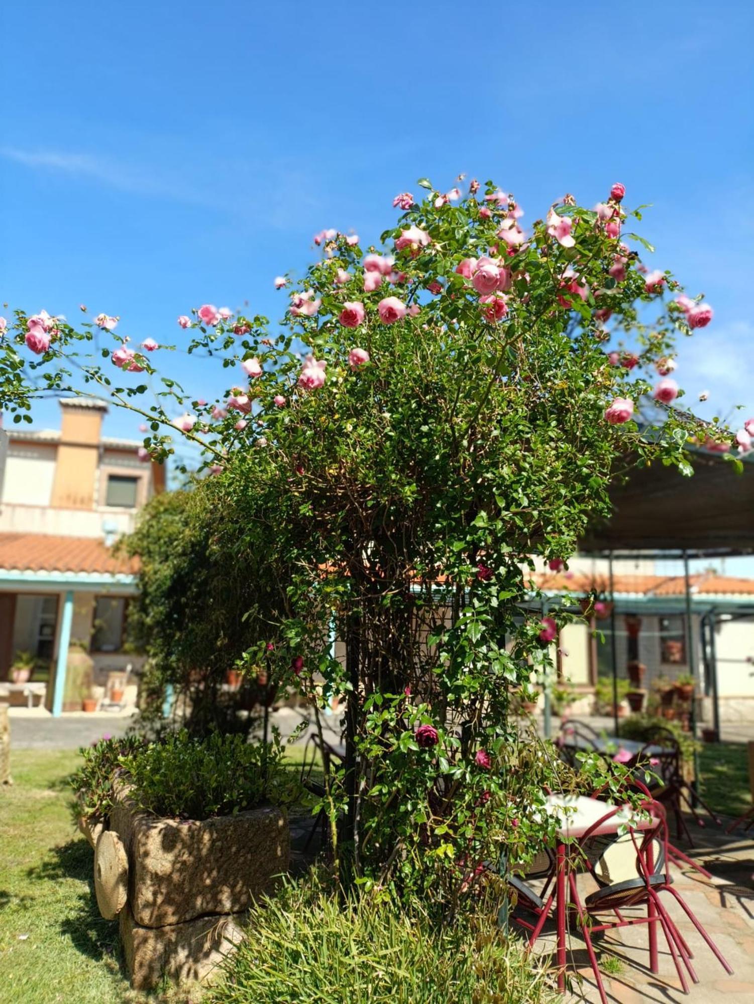 Casa Rural Del Corral マルパルティダ・デ・プラセンシア エクステリア 写真